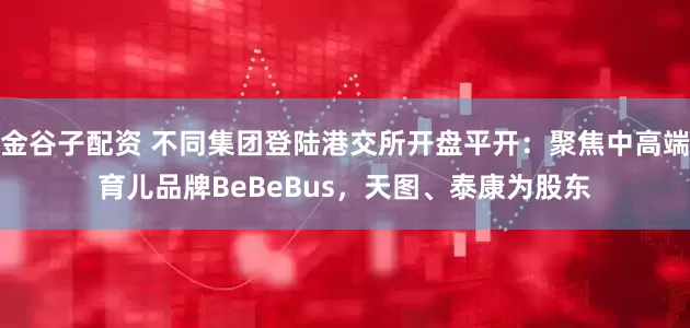 金谷子配资 不同集团登陆港交所开盘平开：聚焦中高端育儿品牌BeBeBus，天图、泰康为股东