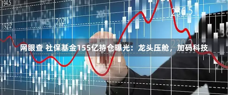 网眼查 社保基金155亿持仓曝光：龙头压舱，加码科技